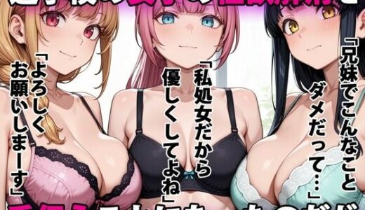 進学校の女子の性欲解消を手伝うことになったのだが hitomi
