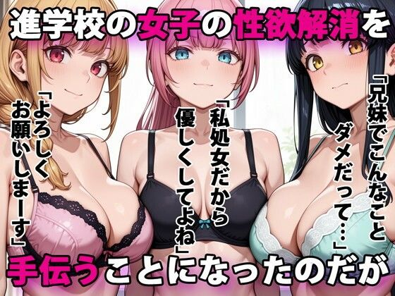 進学校の女子の性欲解消を手伝うことになったのだが hitomi